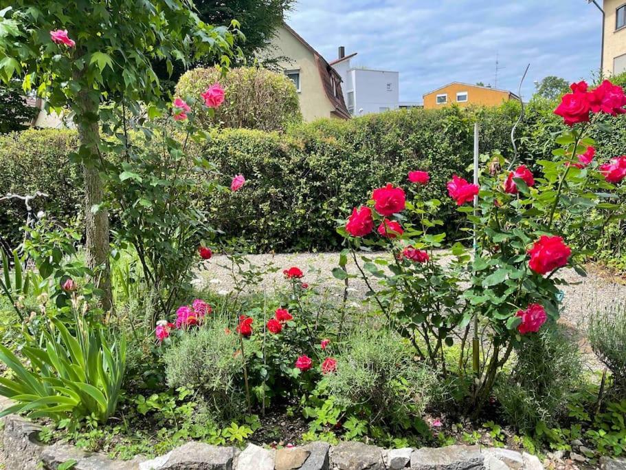 Fewo Apartment Lake Of Constance Friedrichshafen Exterior photo